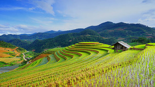 Sapa